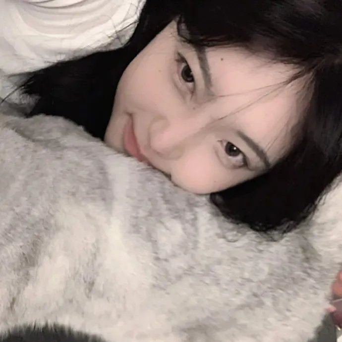 冤罪律师 在线观看